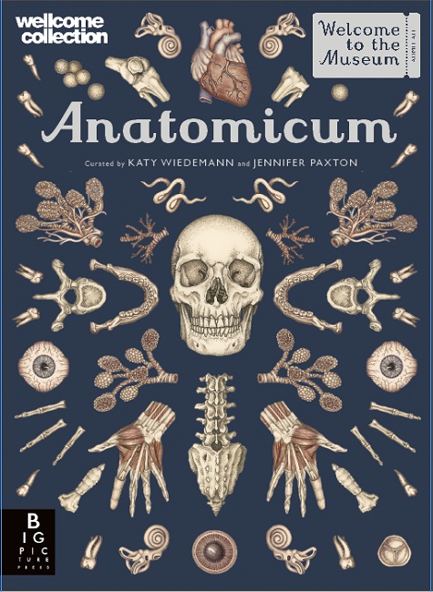 Picture of Anatomicum