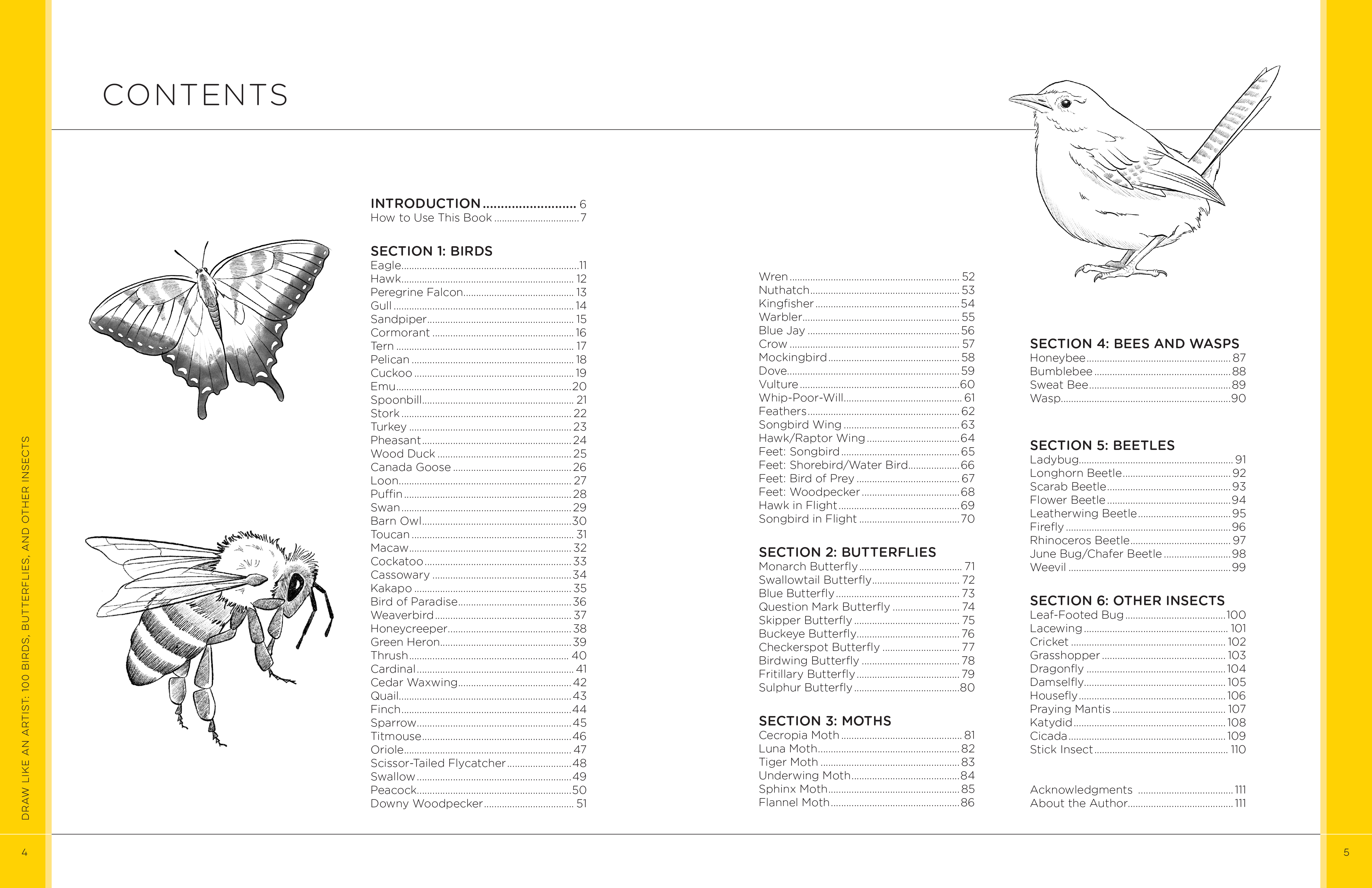 Draw Like an Artist: 100 Birds, Butterflies, and Other Insects