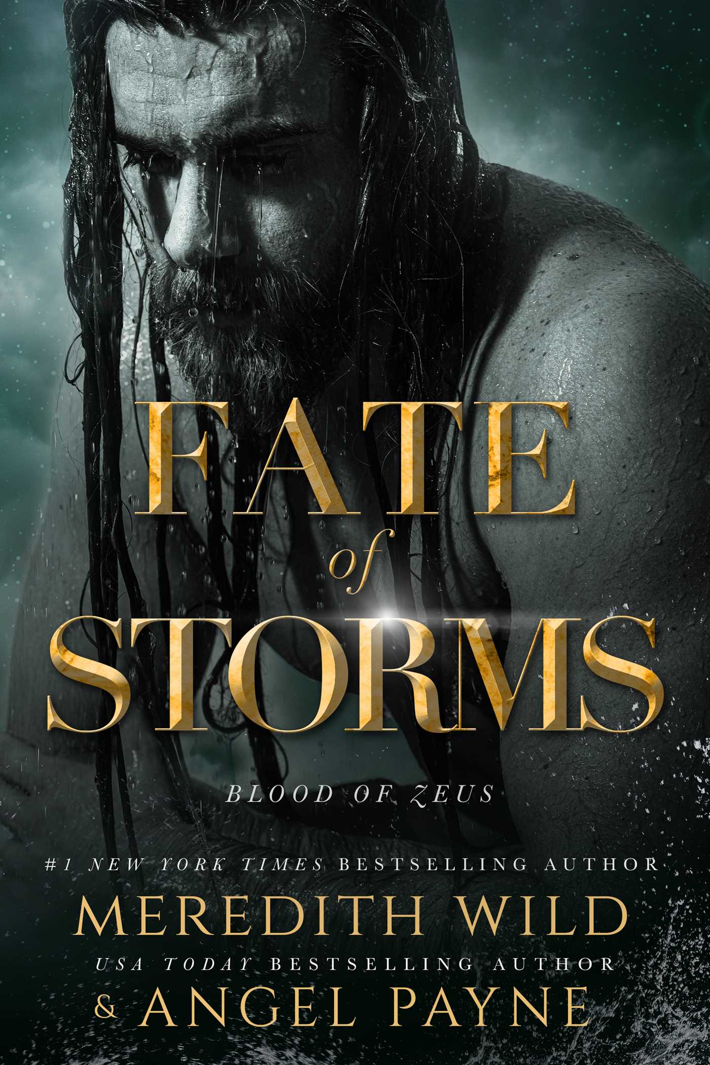 Picture of Fate of Storms