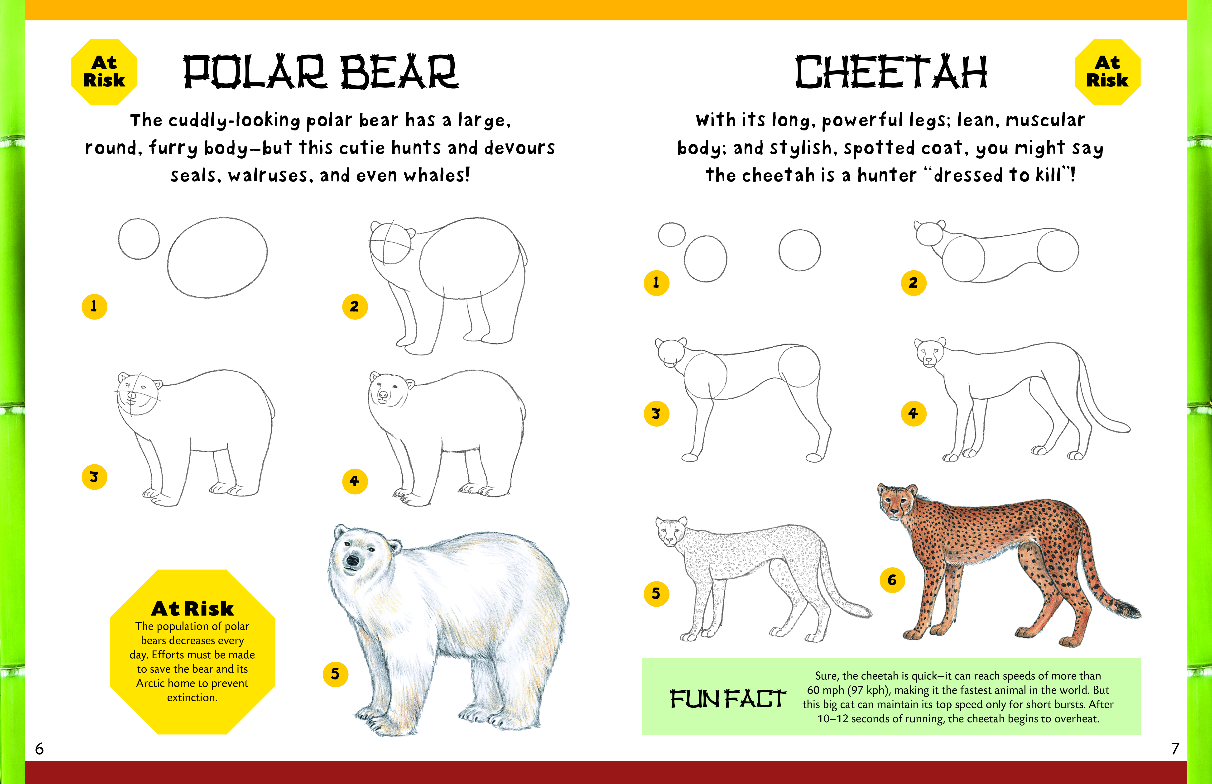 How to Draw Zoo Animals by Diana Fisher | Quarto At A Glance | The Quarto  Group