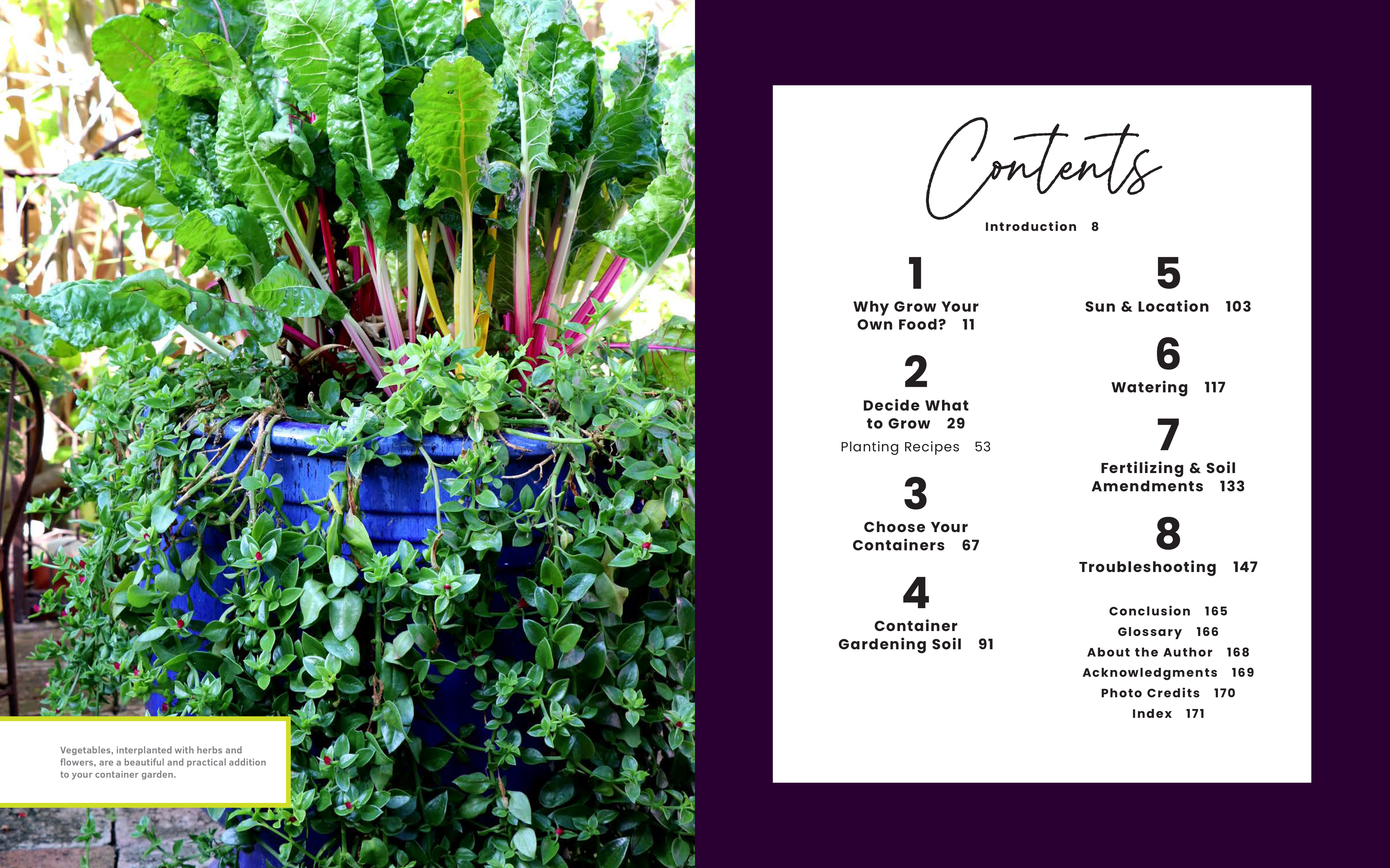 The First-Time Gardener: Container Food Gardening