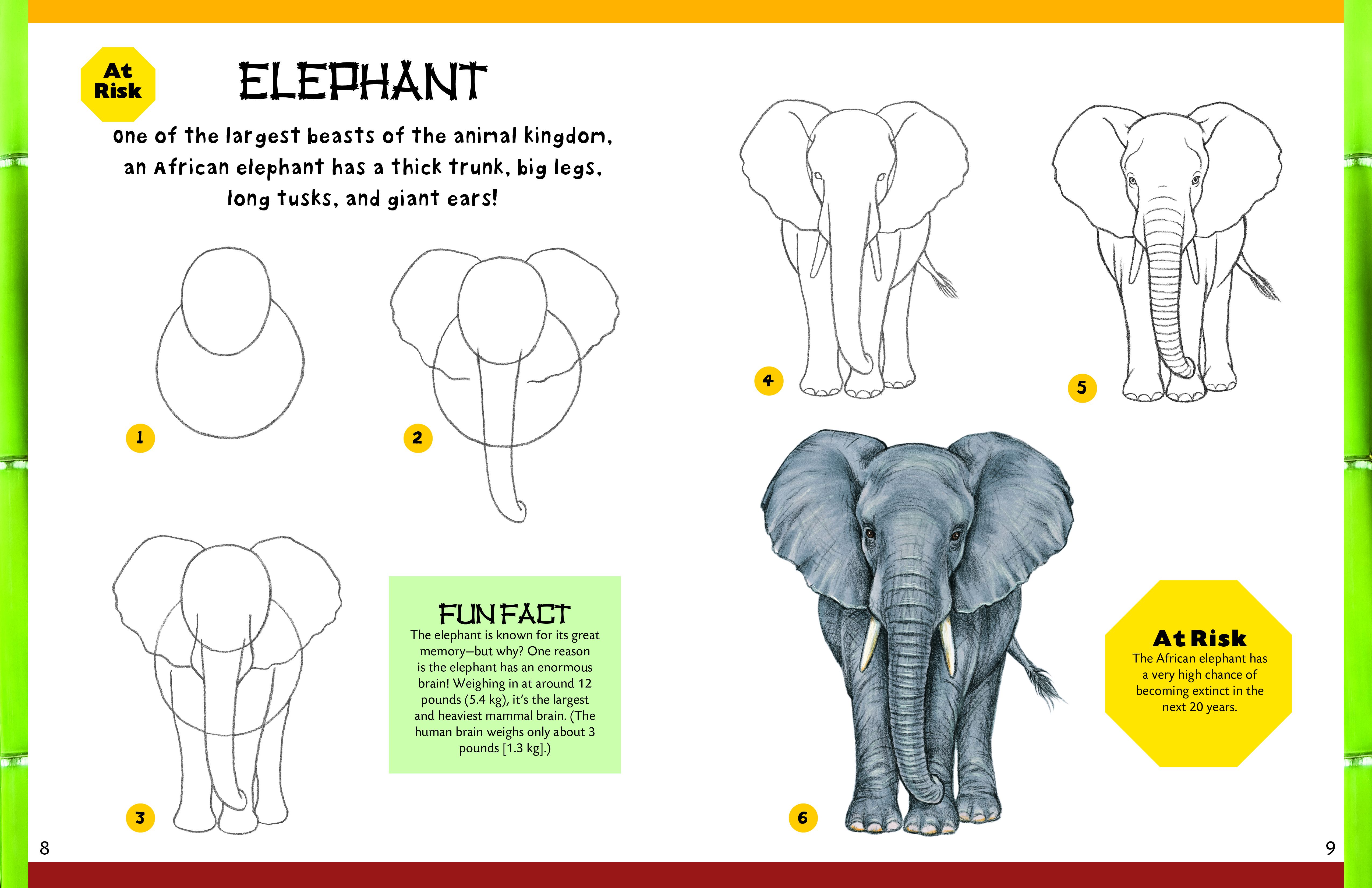 How to Draw Zoo Animals by Diana Fisher | Quarto At A Glance | The Quarto  Group