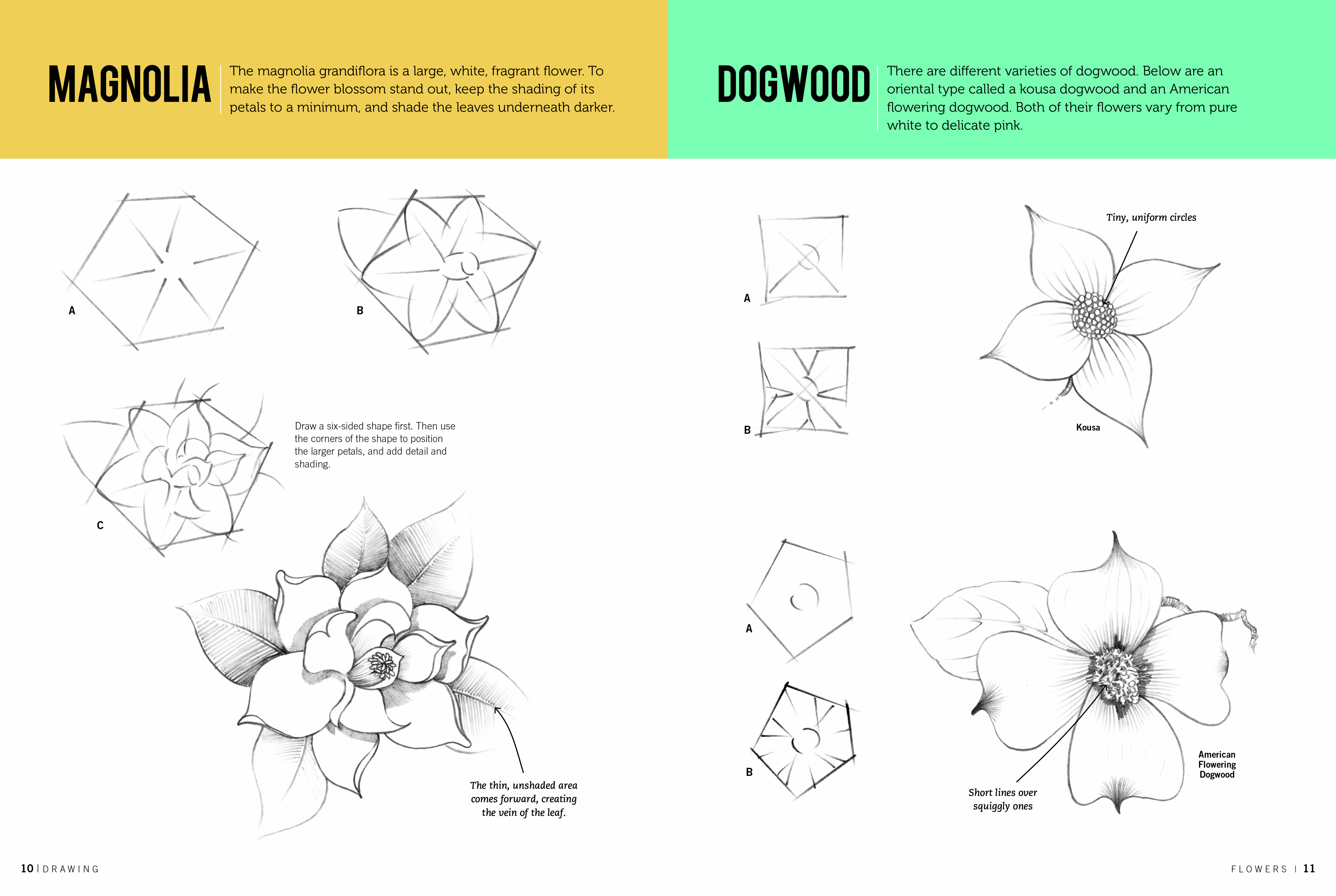 Drawing: Flowers with William F. Powell
