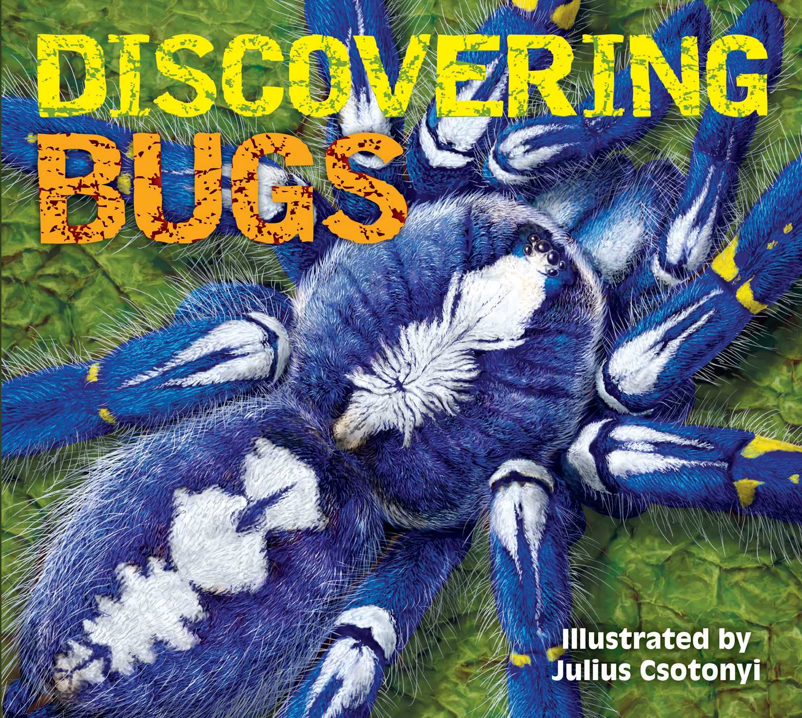 Picture of Discovering Bugs