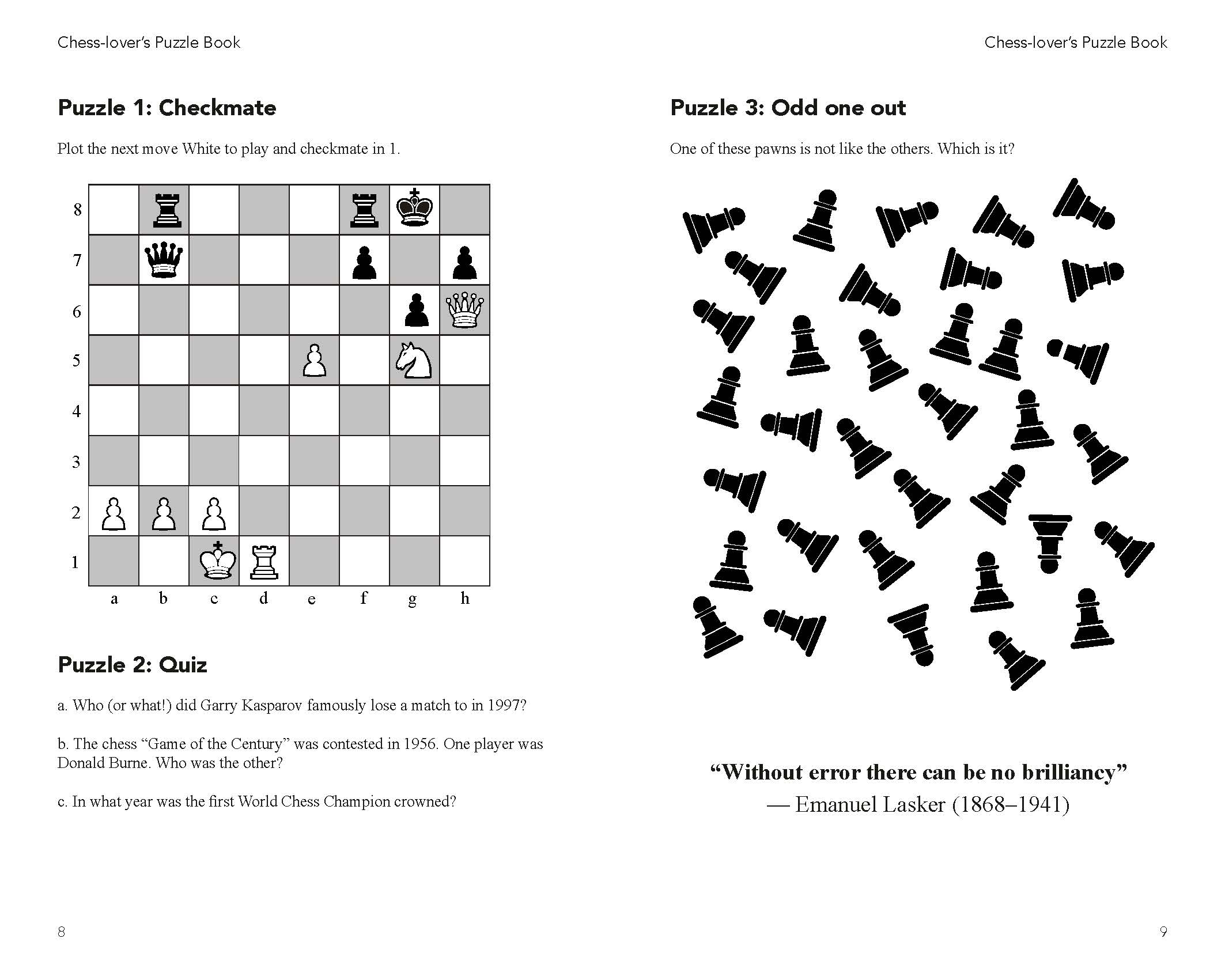 The Chess Lover's Puzzle Book