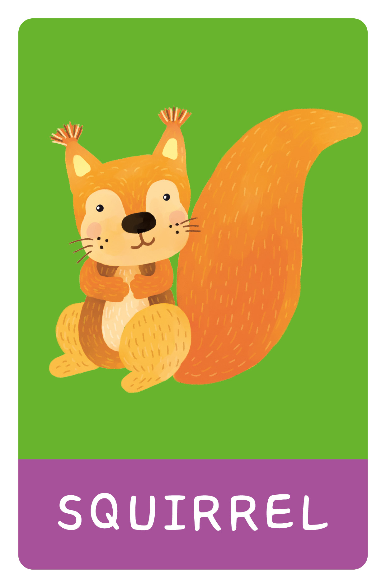 Animal Words. 50 Flash Cards by Clever Publishing | Quarto At A Glance |  The Quarto Group