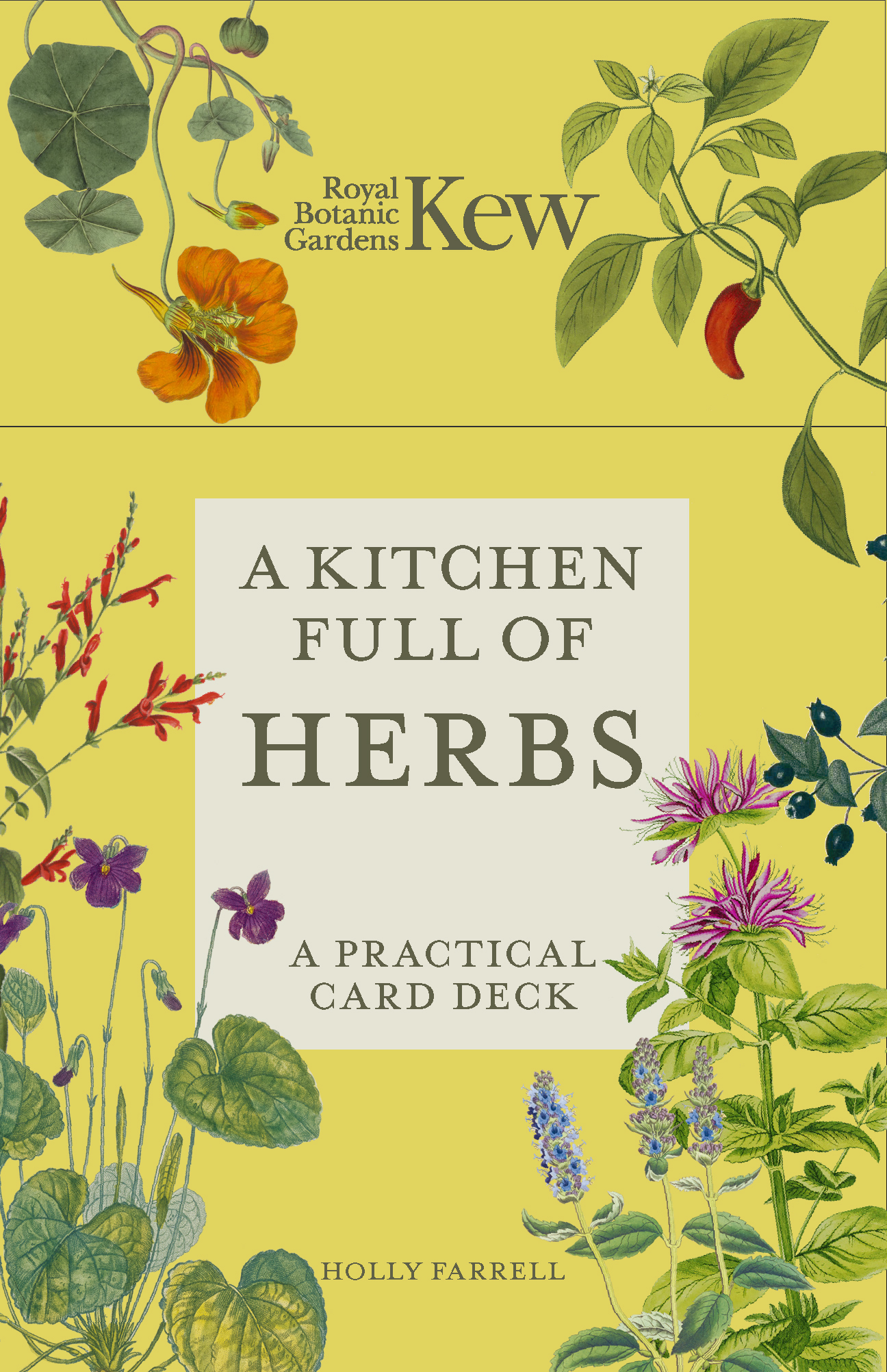 A Kitchen Full of Herbs