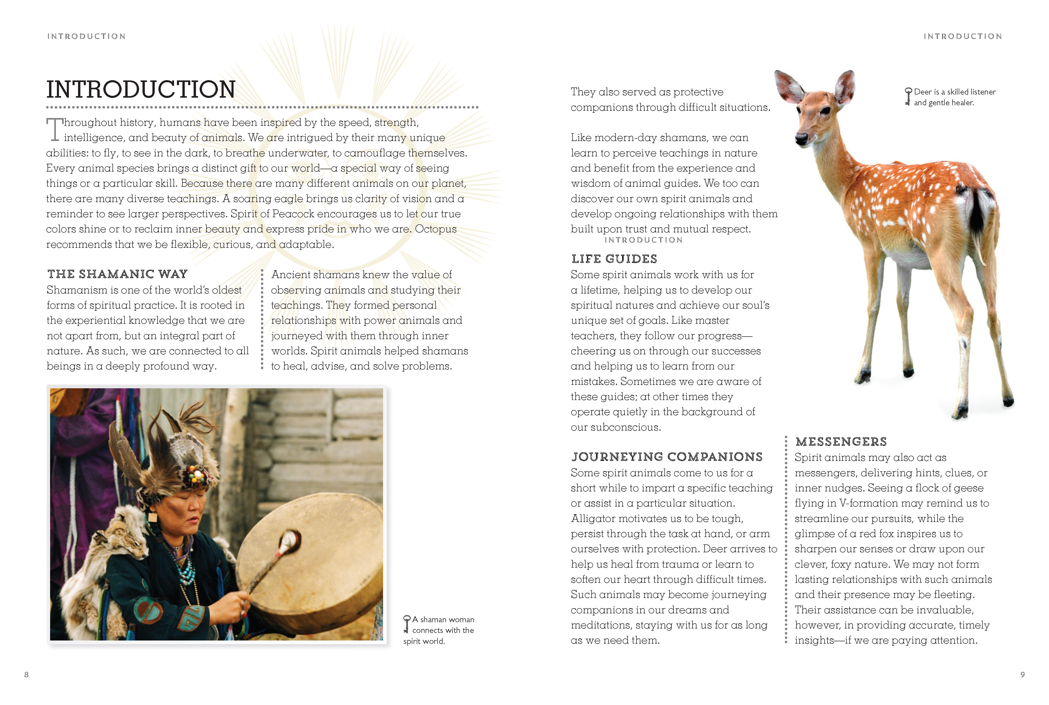 The Spirit Animal Directory by Dawn Baumann Brunke | Quarto At A Glance |  The Quarto Group