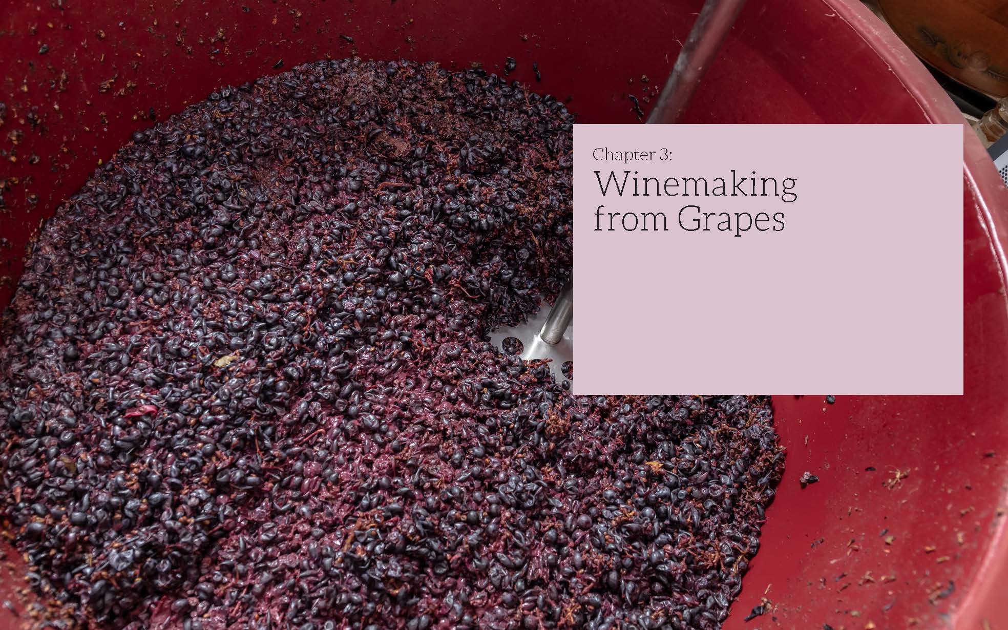 The WineMaker Guide to Home Winemaking