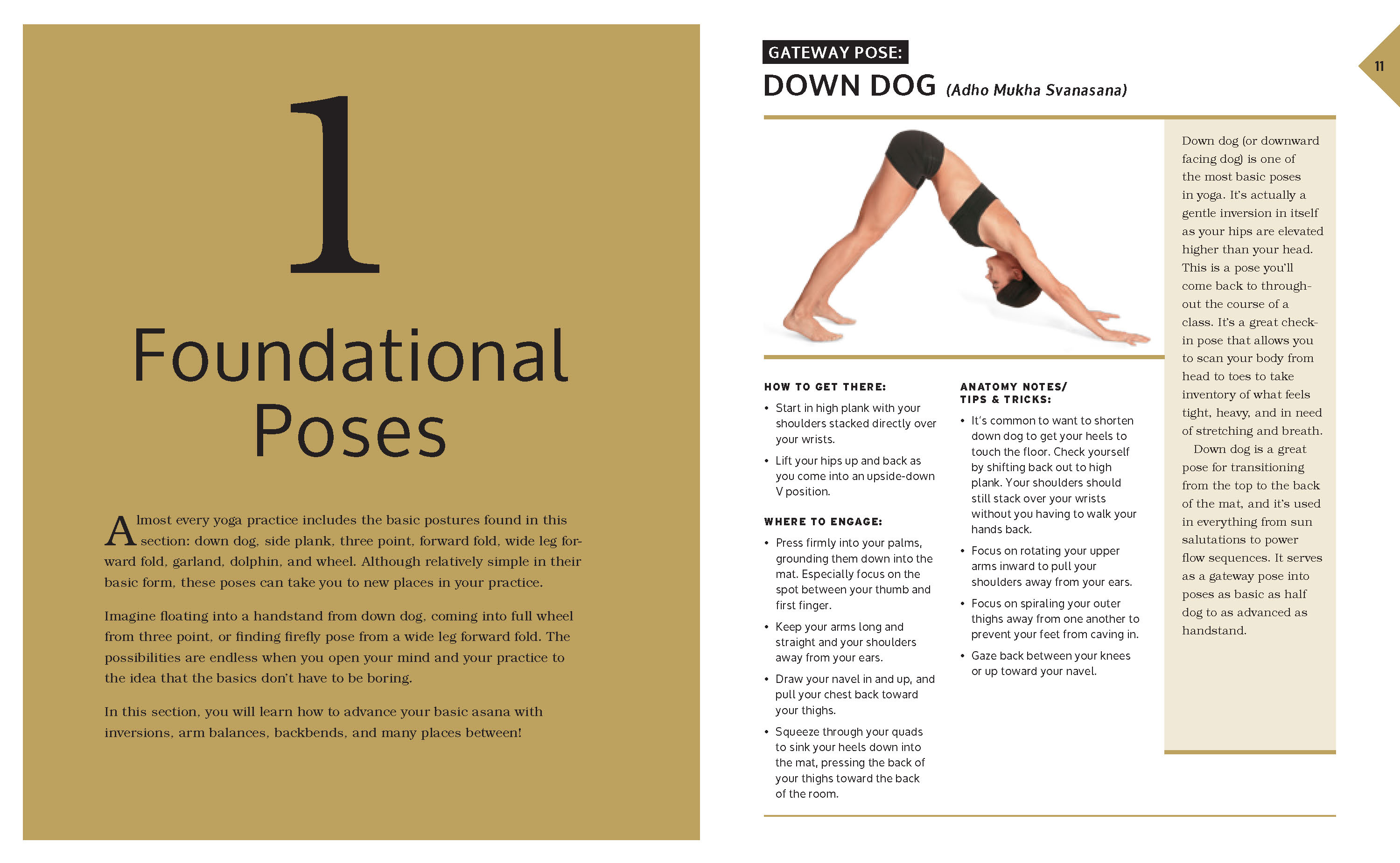 The Complete Book of Yoga Inversions
