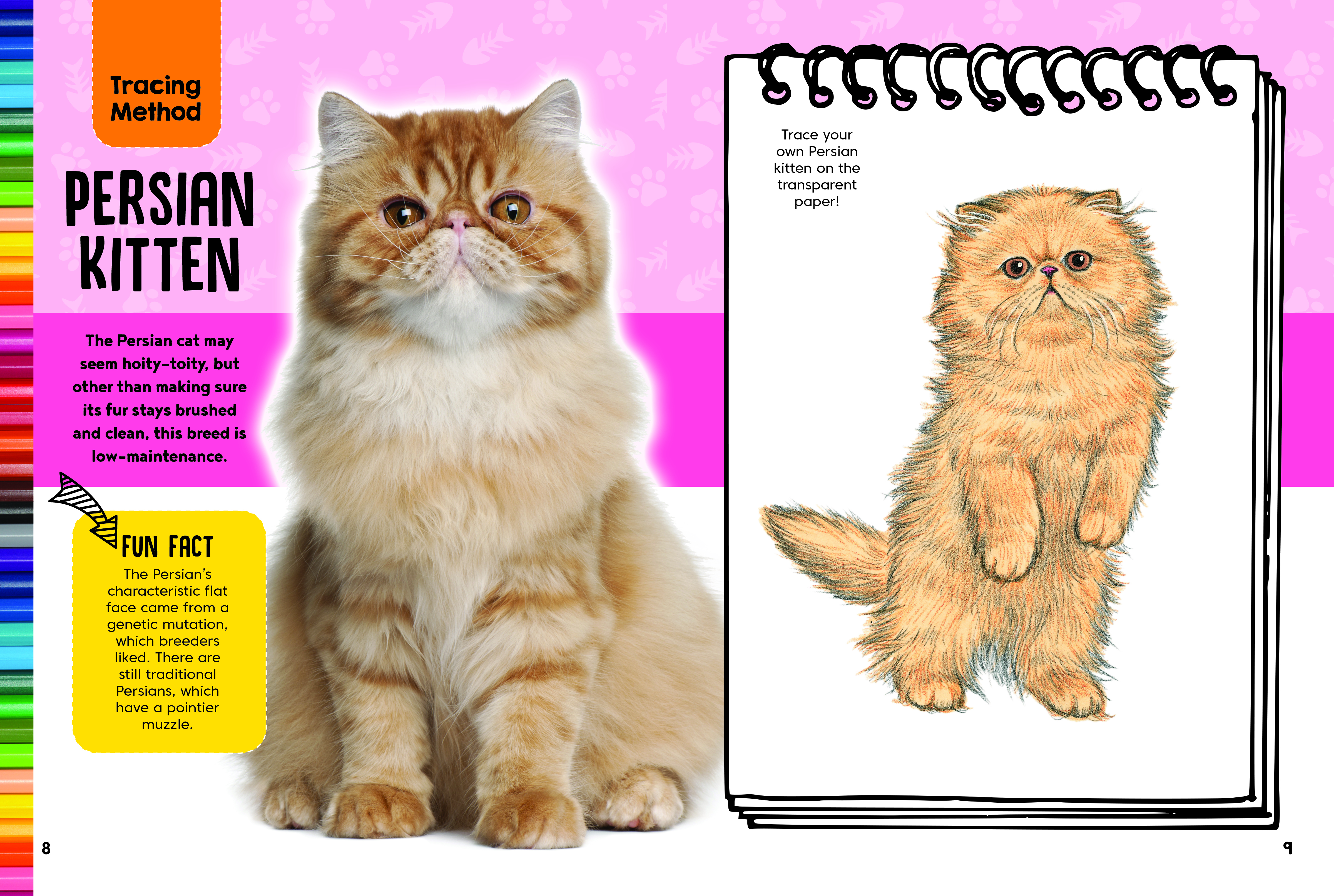 Cats & Kittens Drawing & Activity Book