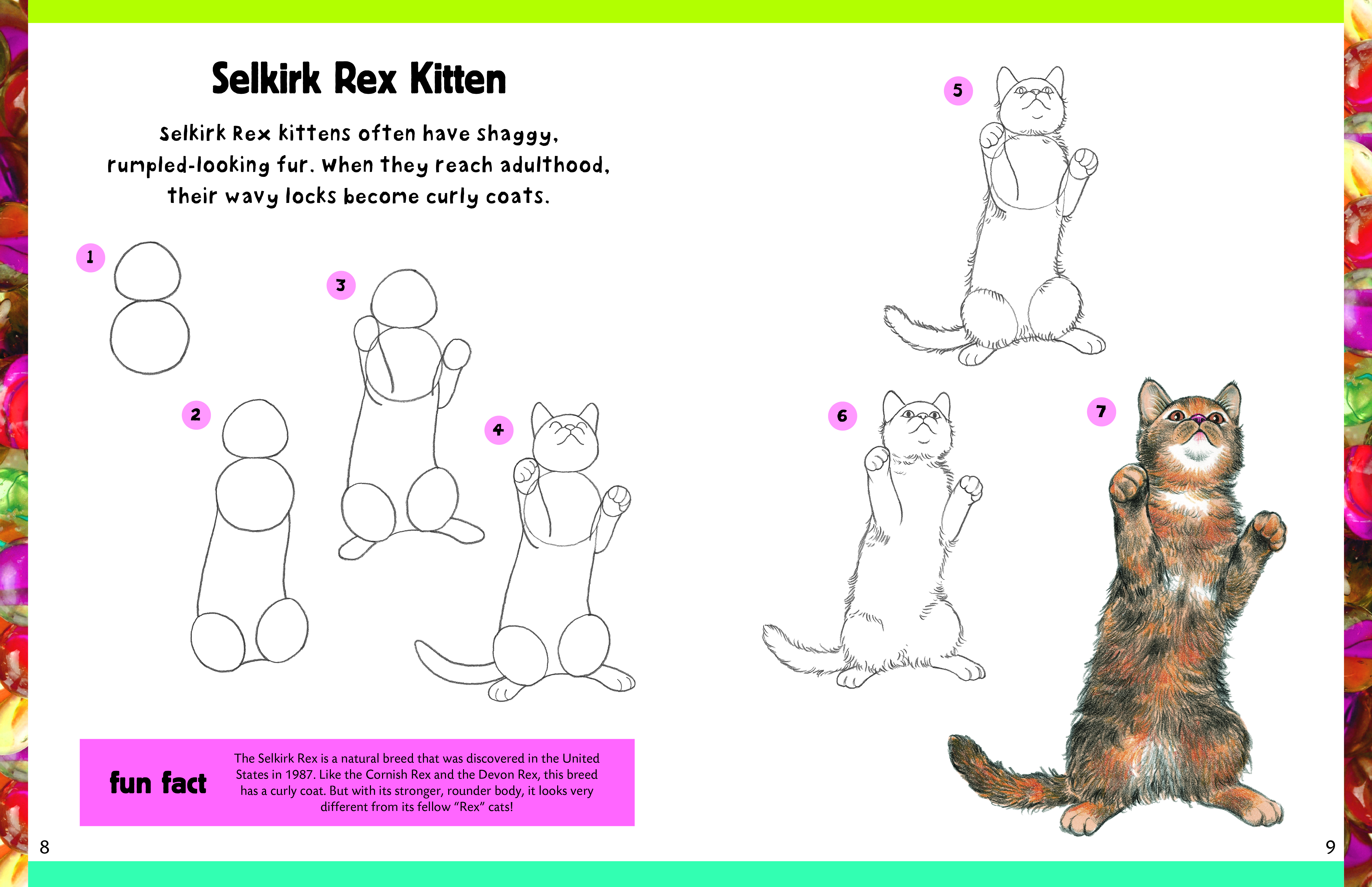 How to Draw Cats & Kittens