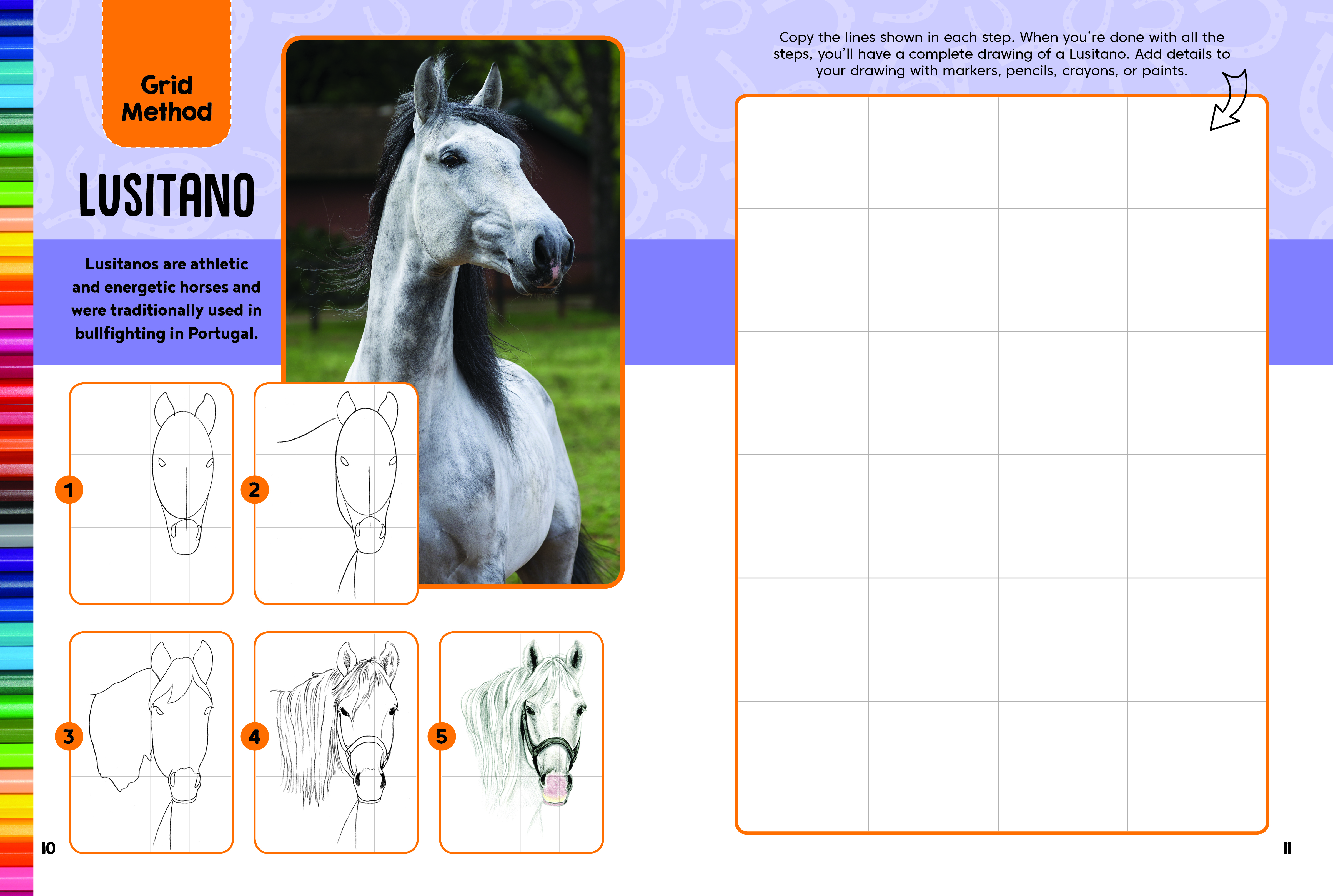 Horses & Ponies Drawing & Activity Book