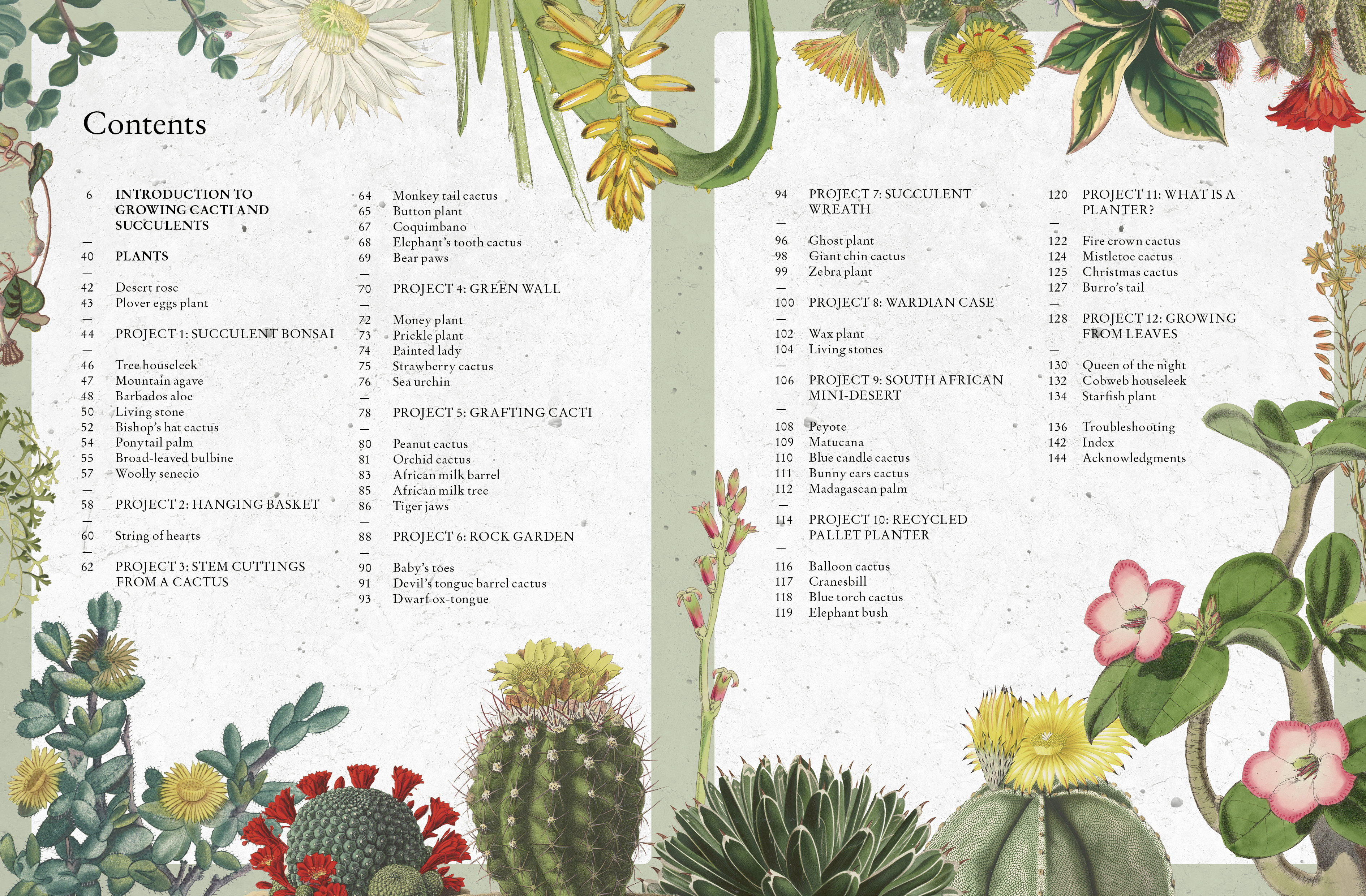 Kew Gardener's Guide to Growing Cacti and Succulents
