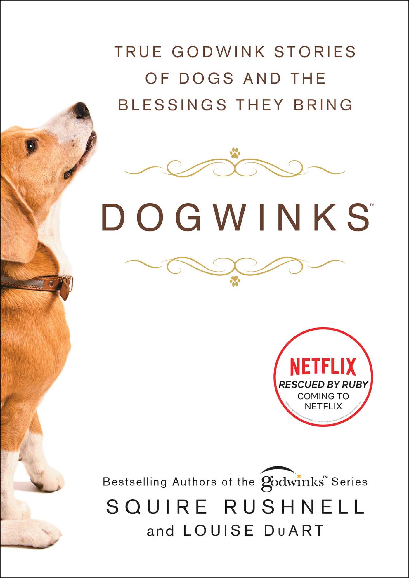 Picture of Dogwinks