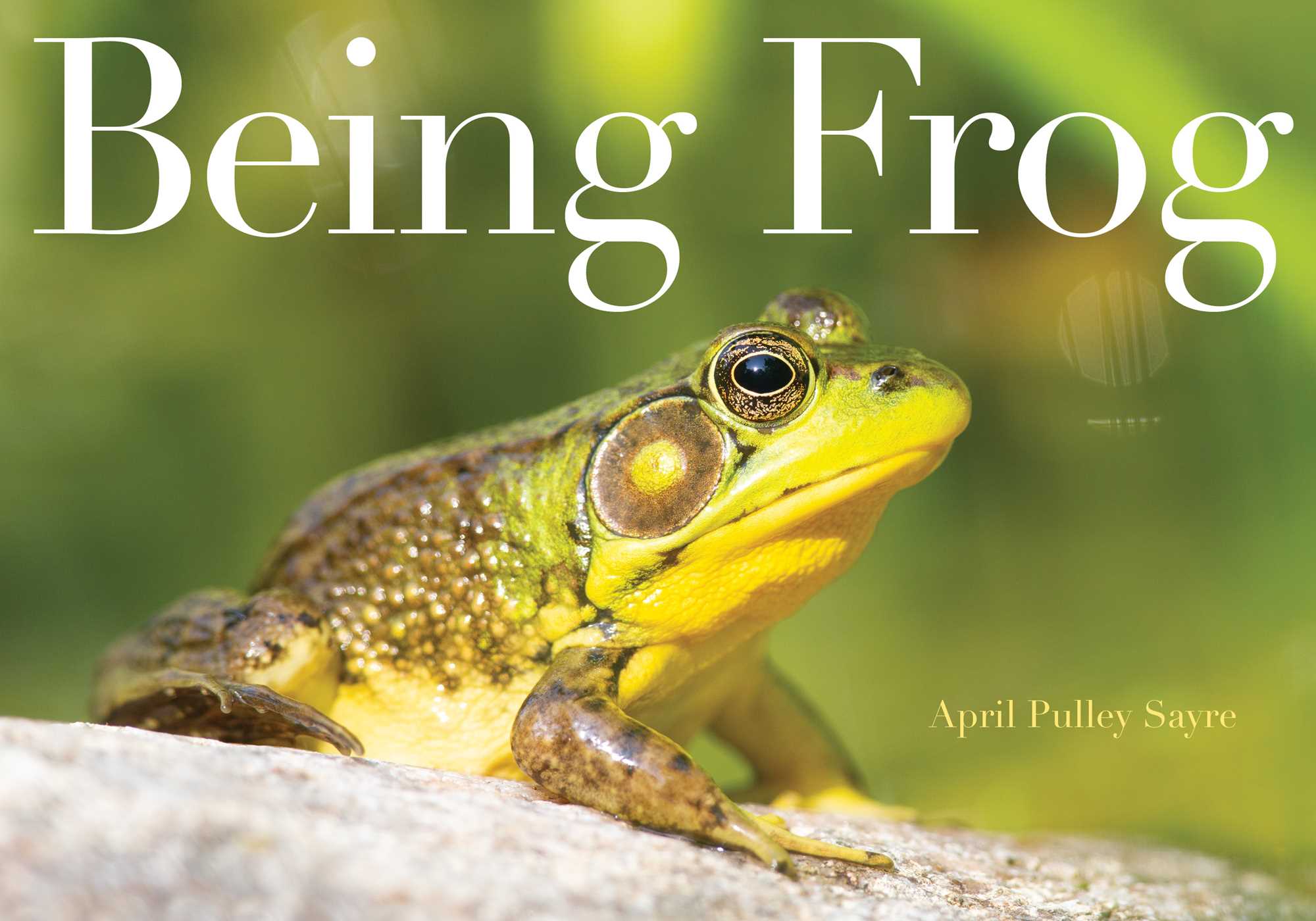 Picture of Being Frog