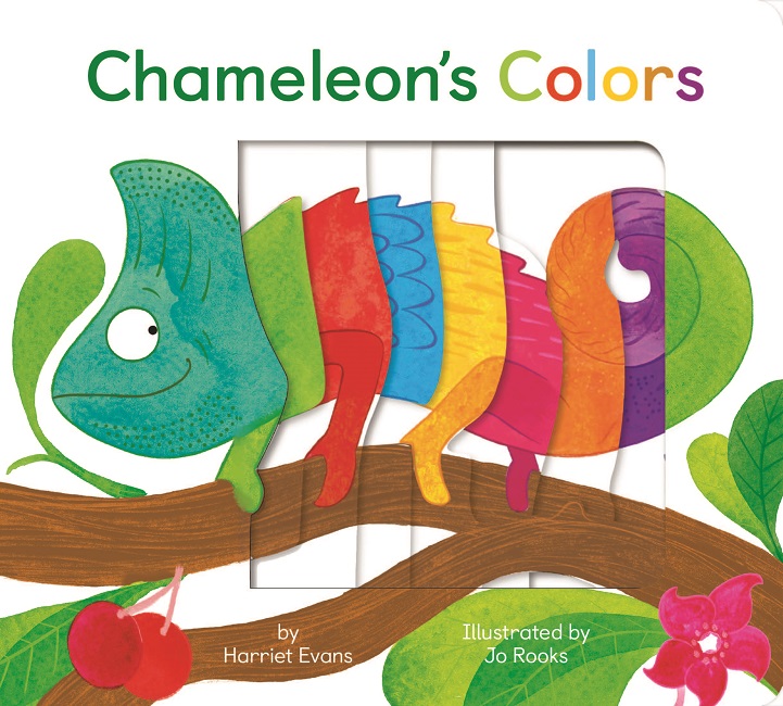 Picture of Chameleon's Colours
