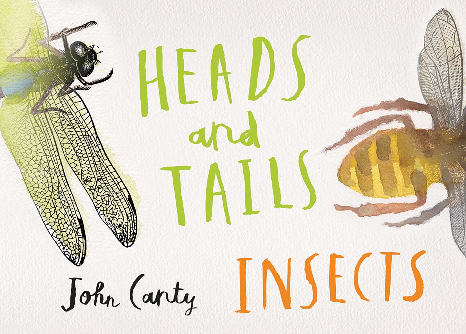 Picture of Heads and Tails: Insects