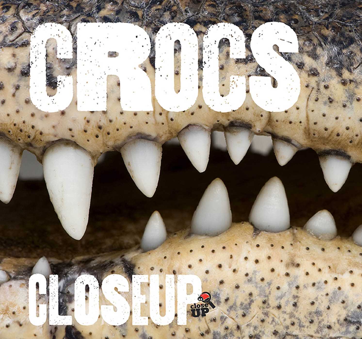 Picture of Crocs CloseUp