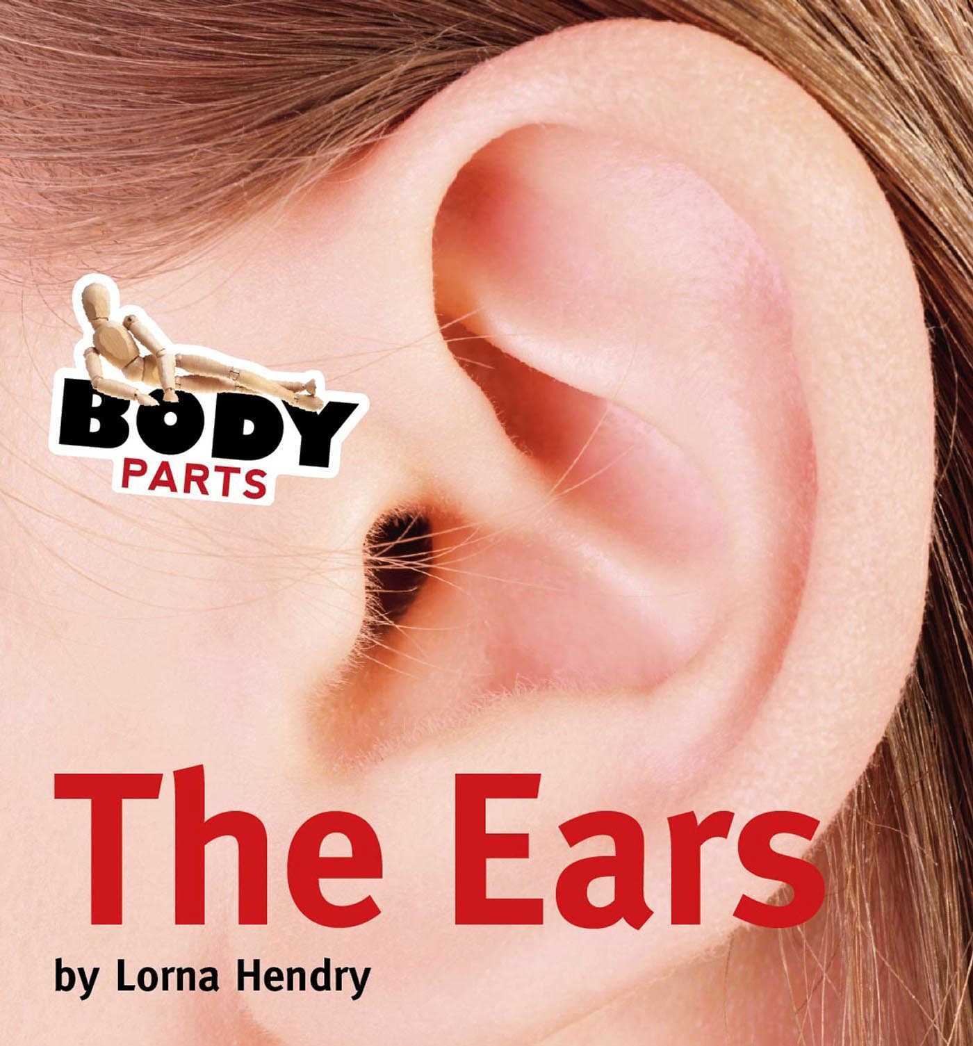Picture of Body Parts :The Ears