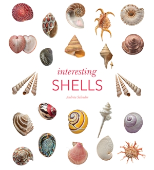 Interesting Shells