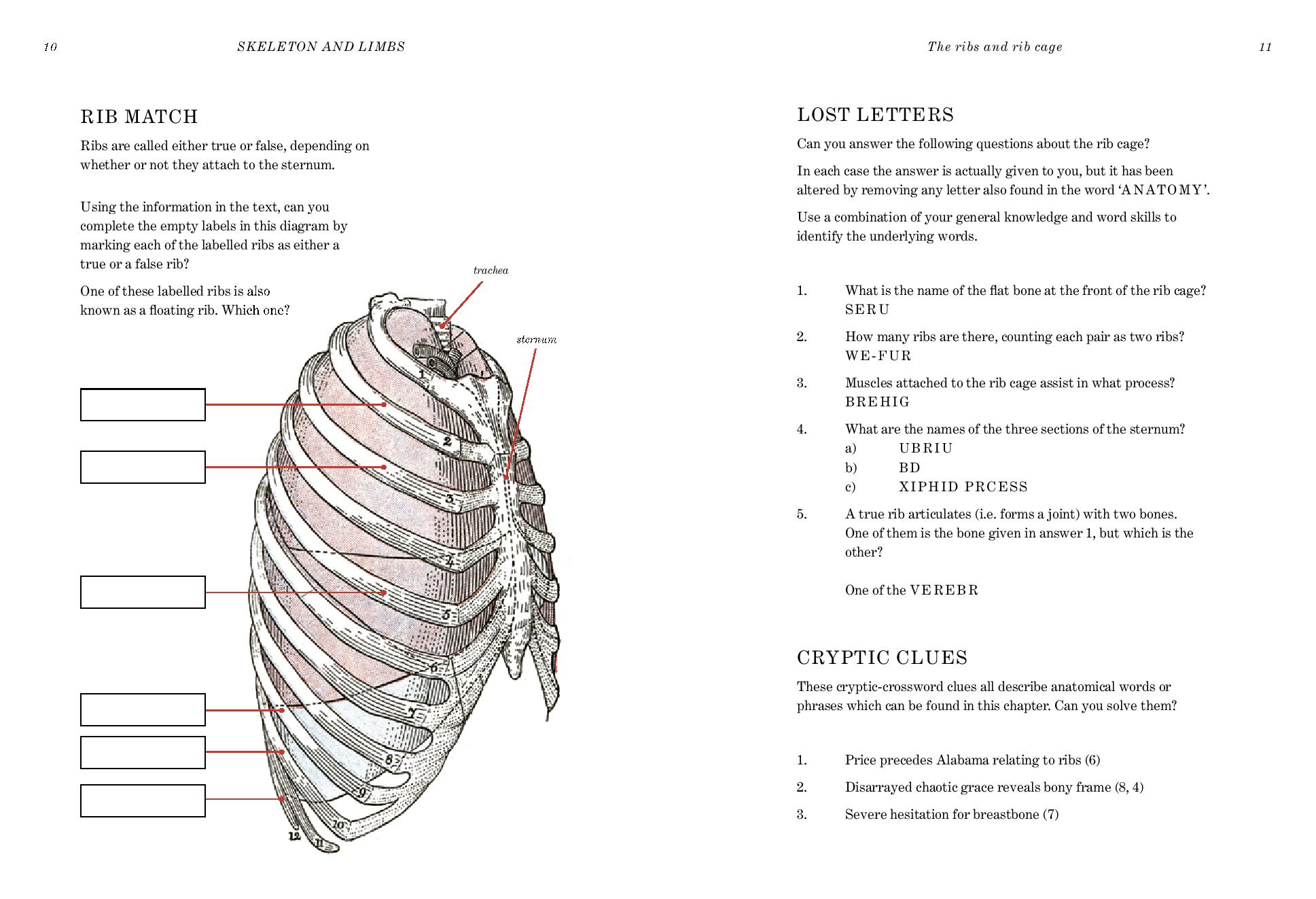 Gray's Anatomy Puzzle Book