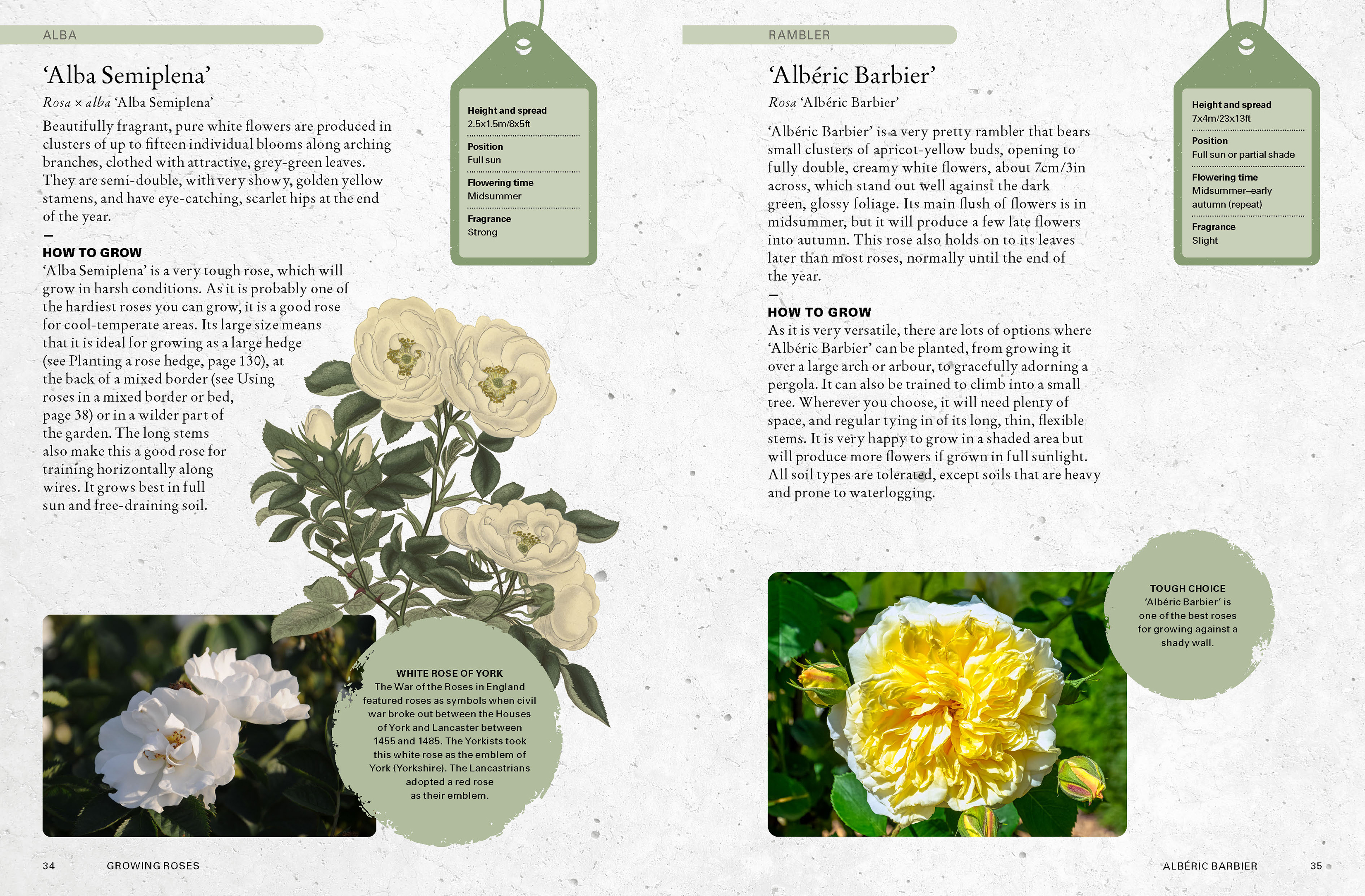 The Kew Gardener's Guide to Growing Roses