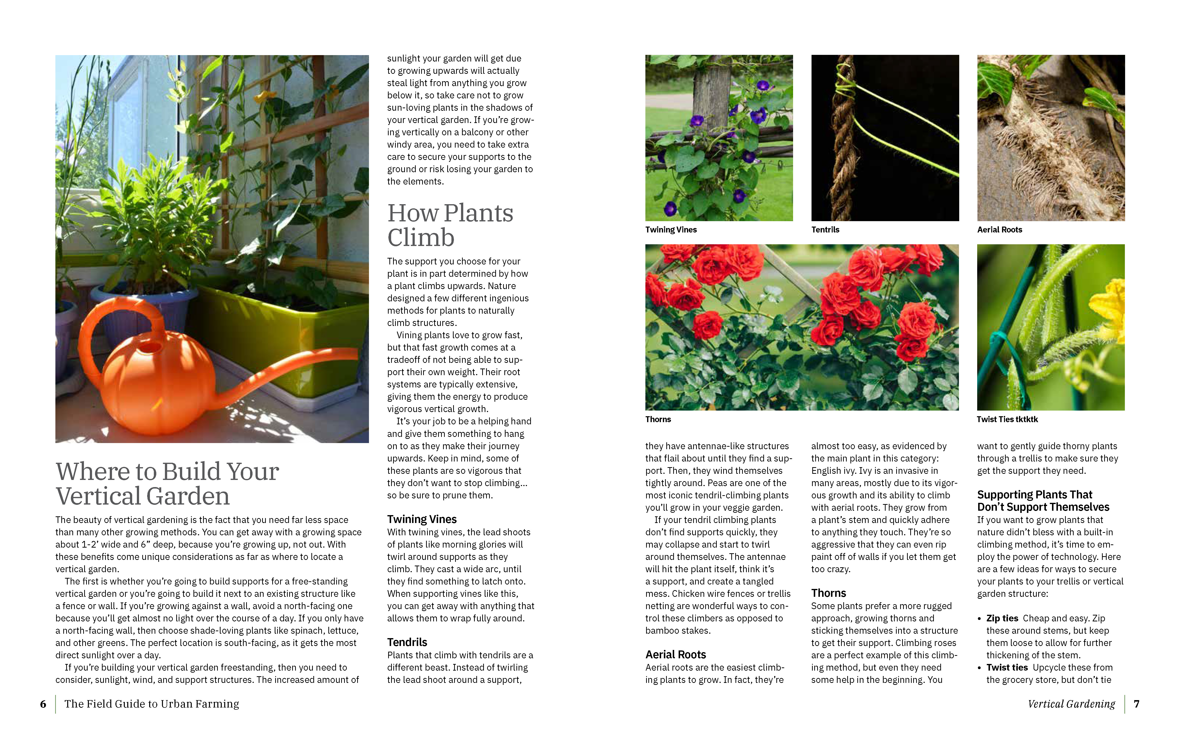 Field Guide to Urban Gardening