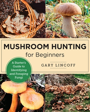 Mushroom Hunting for Beginners