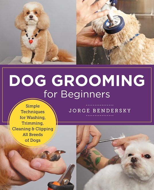 Diy Dog Grooming Tips for Beginners  : Master DIY Dog Grooming Techniques