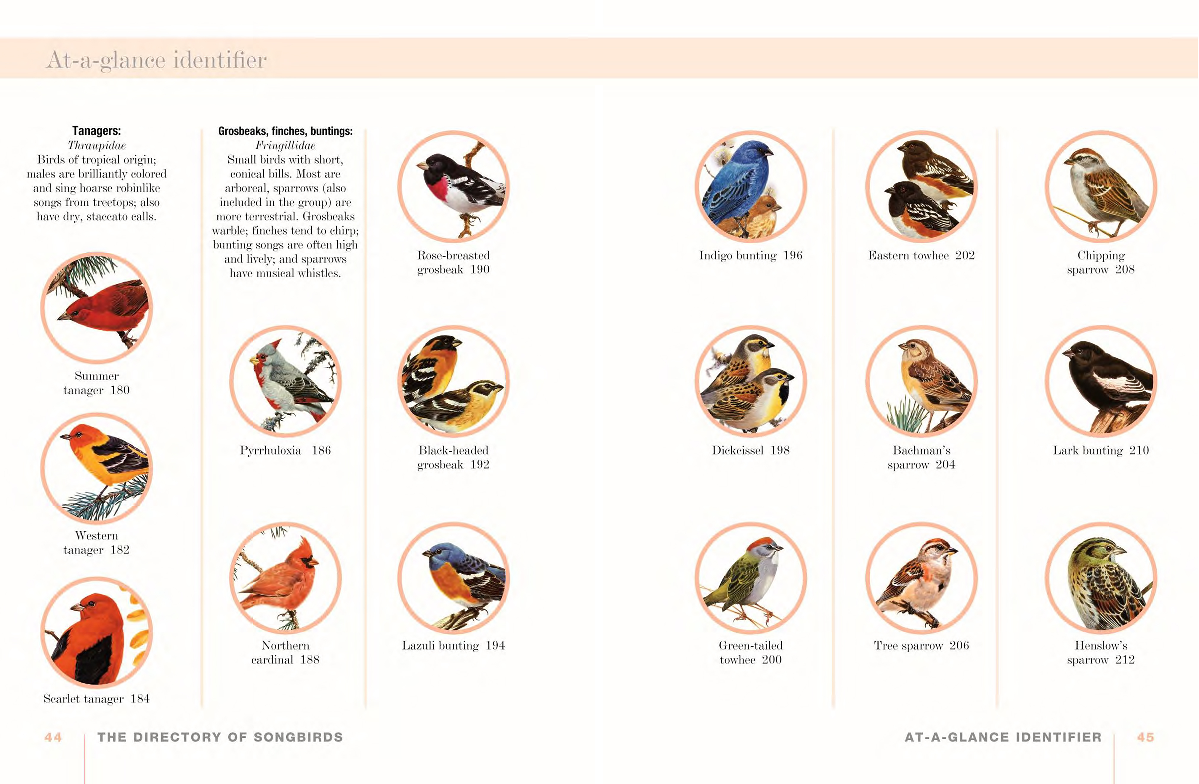 A Field Guide to Songbirds of North America