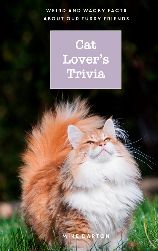 Cat Lover's Trivia