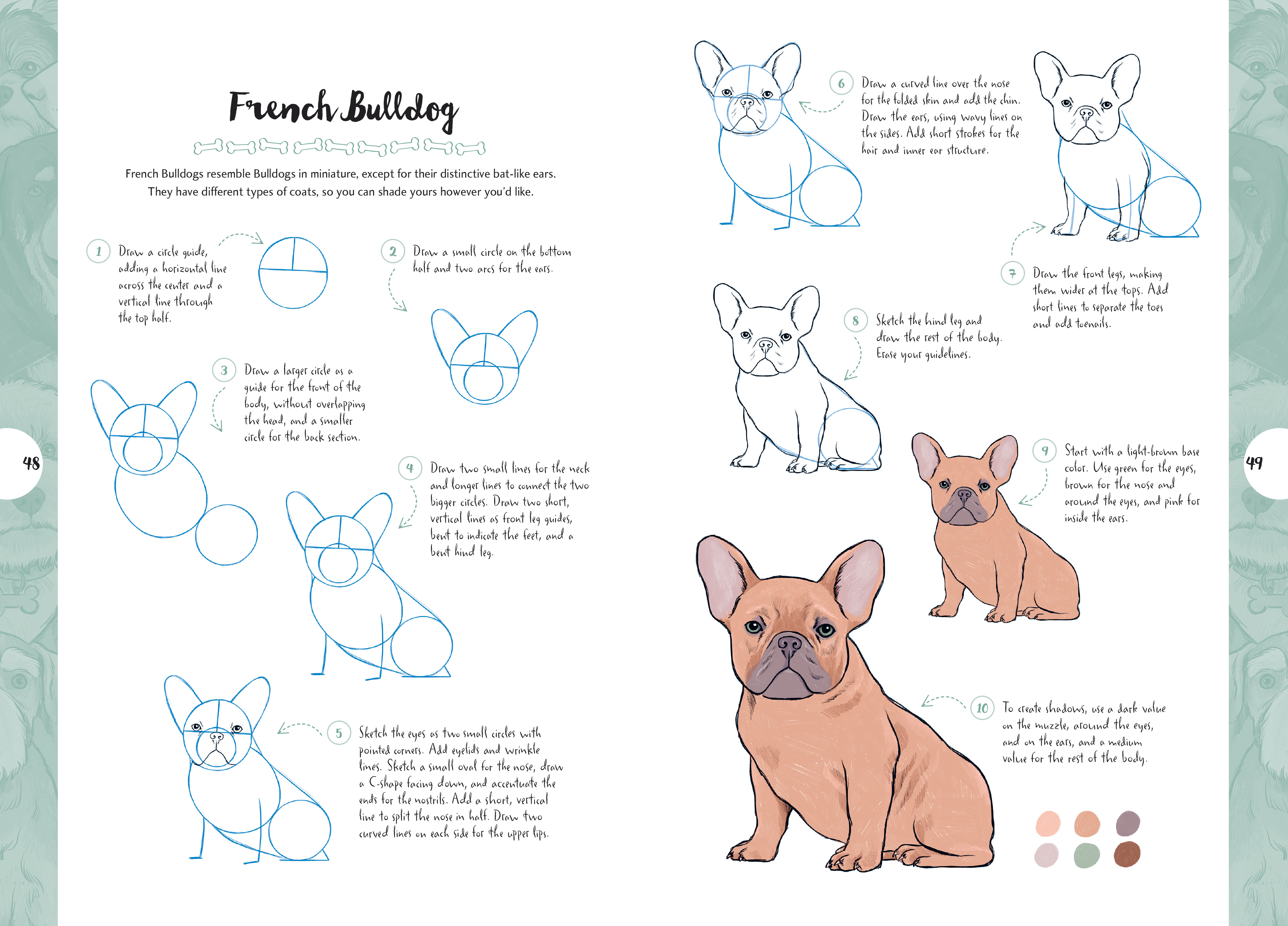 Ten-Step Drawing: Dogs