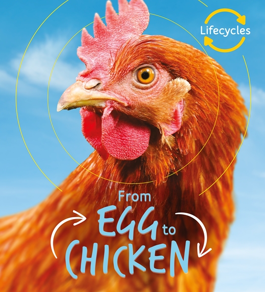 Lifecycles: Egg to Chicken