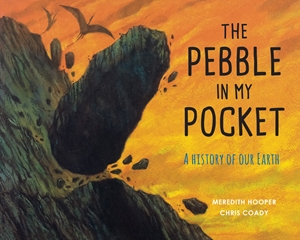 The Pebble in My Pocket