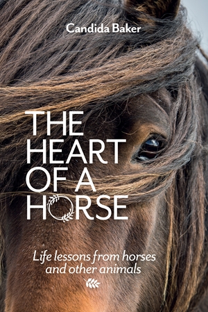The Heart of a Horse