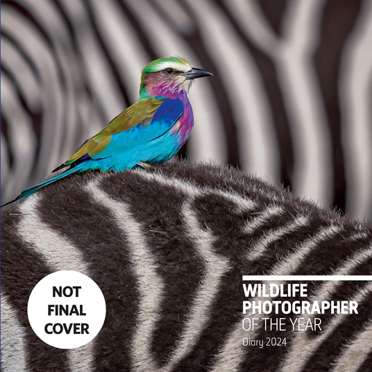 Wildlife Photographer Of The Year Desk Diary 2024 By Natural History   XL