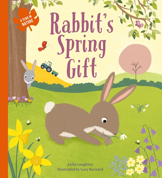 Rabbit's Spring Gift