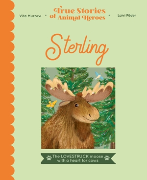 Sterling The lovestruck moose with a heart for cows