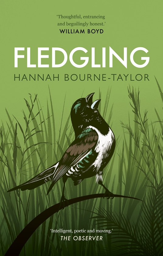 Fledgling By Hannah Bourne Taylor Quarto At A Glance The Quarto Group