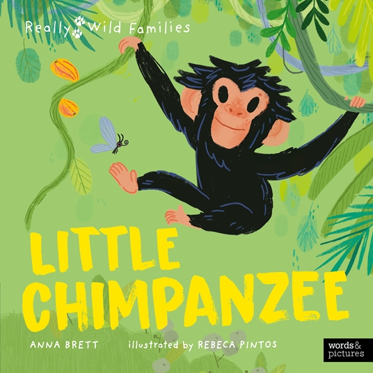 Little Chimpanzee