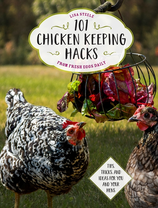 Preventing Rotten Eggs {What NOT to Feed Your Chickens} - Yellow Birch  Hobby Farm