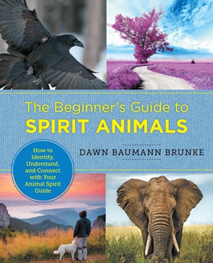 The Beginner's Guide to Spirit Animals