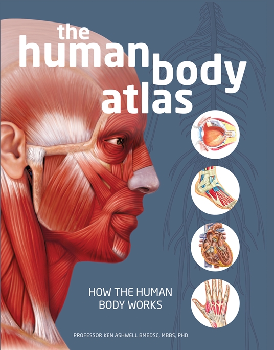 The Human Body Atlas by National Geographic Quarto At A Glance The