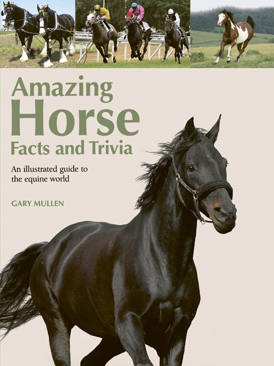 Amazing Horse Facts and Trivia