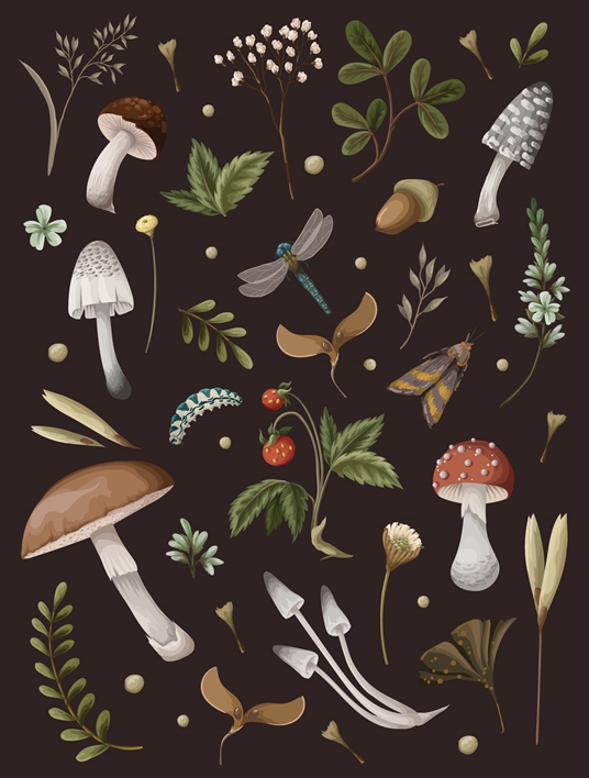 Mushroom Lined Journal
