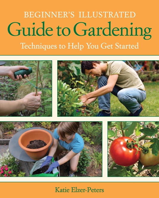 Beginner's Illustrated Guide to Gardening