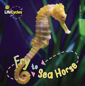 Fry to Seahorse