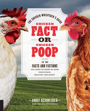 Chicken Fact or Chicken Poop