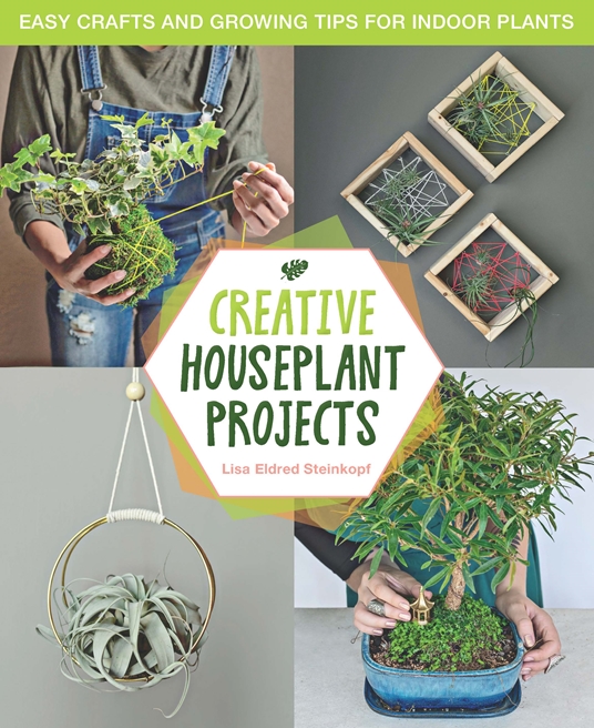 Fun Houseplant Projects